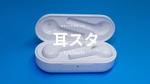 2025年 ダイソー完全ワイヤレスイヤホン「ミクロ(TWS005 2025年 ダイソー完全ワイヤレスイヤホン「ミクロ(TWS005